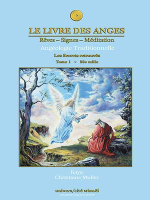 cover image of Le livre des anges 1